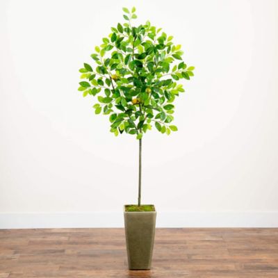 Image showing  Artificial 6 ft. Lemon Tree in Olive Green Planter