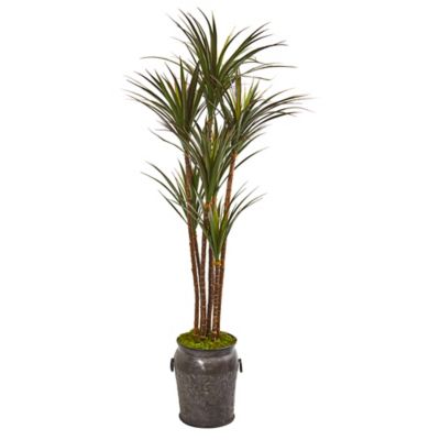 Nearly Natural Artificial 6 ft. Giant Yucca Tree in Decorative Planter, UV-Resistant, Indoor/Outdoor