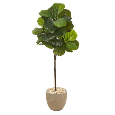 Image showing  51 in. Artificial Fiddle Leaf Tree in Sandstone Planter, Real Touch