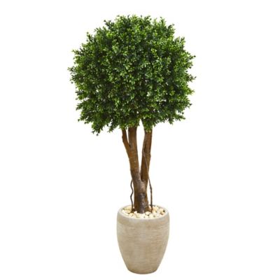 Nearly Natural Artificial 52 in. Boxwood Topiary Tree in Planter, UV-Resistant, Indoor/Outdoor