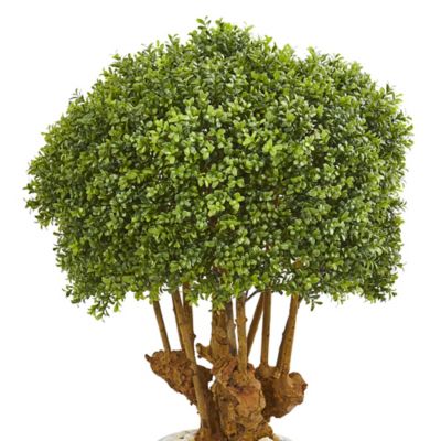 Image showing  Artificial 41 in. Boxwood Topiary Tree in Sandstone Planter, Indoor/Outdoor