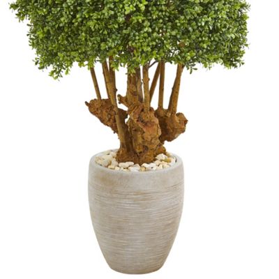 Image showing  Artificial 41 in. Boxwood Topiary Tree in Sandstone Planter, Indoor/Outdoor
