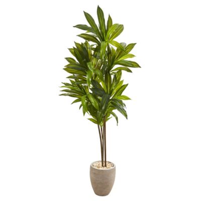 Nearly Natural 68 in. Artificial Dracaena Plant in Sand Colored Planter, Real Touch