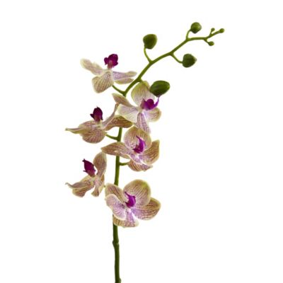 Image showing  29 in. Artificial Phalaenopsis Orchid Flower, 4 pc.
