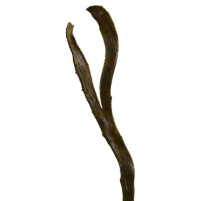 Image showing  28 in. Artificial Branch, 12 pc.