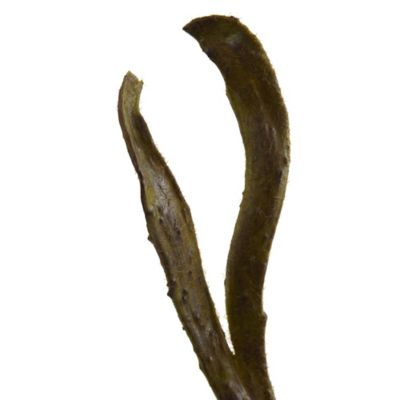 Image showing  28 in. Artificial Branch, 12 pc.