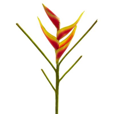 Image showing  26 in. Artificial Heliconia Flower, 4 pc.