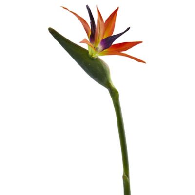 Image showing  35 in. Artificial Bird of Paradise Flower, 4 pc.