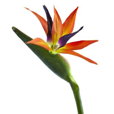 Image showing  35 in. Artificial Bird of Paradise Flower, 4 pc.