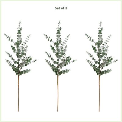 Image showing  40 in. Artificial Eucalyptus Stems, 3 pc.
