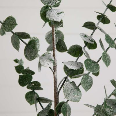Image showing  40 in. Artificial Eucalyptus Stems, 3 pc.
