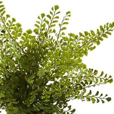 Image showing  Artificial 14 in. Assorted Fern Plants with Planter, 3 pc.