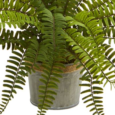Image showing  Artificial 14 in. Assorted Fern Plants with Planter, 3 pc.