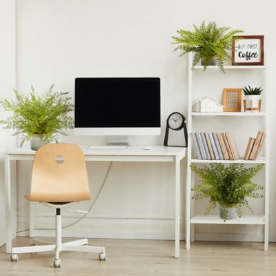 Image showing  Artificial 14 in. Assorted Fern Plants with Planter, 3 pc.