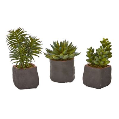 Nearly Natural Artificial 8 in. Mixed Succulent Trio Plants, 3 pc.