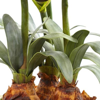 Image showing  26 in. Artificial Amaryllis Arrangement with Vase