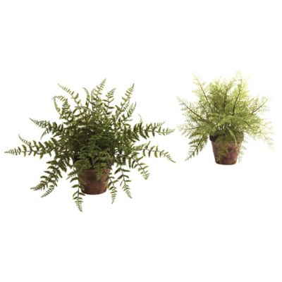 Image showing  12 in. Artificial Fern Plant with Decorative Planter, 2 pc.