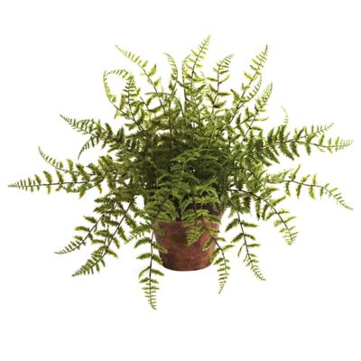 Image showing  12 in. Artificial Fern Plant with Decorative Planter, 2 pc.