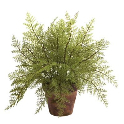 Image showing  12 in. Artificial Fern Plant with Decorative Planter, 2 pc.