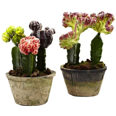 Nearly Natural 9.5-10 in. Artificial Colorful Cactus Gardens, 2 pc.