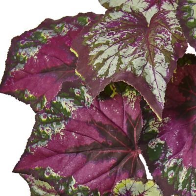 Image showing  16 in. Artificial Wax Begonia Bush Plant, 6 pc.