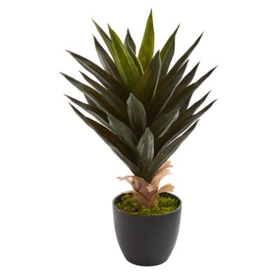 Image showing  20 in. Artificial Agave Plant, 2 pc.