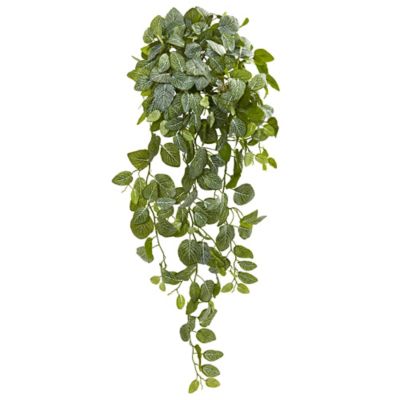 Nearly Natural 36 in. Artificial Fittonia Hanging Bush Plant, Real Touch, 2 pc.