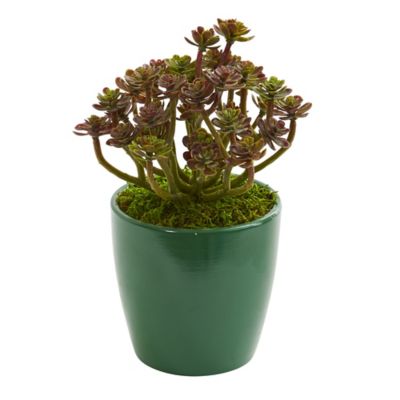 Image showing  8 in. Artificial Sedum Plant in Green Planter, 2 pc.