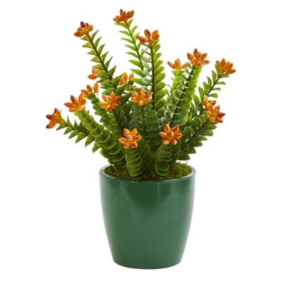 Image showing  Artificial 10 in. Sedum Succulent Plants in Green Planter, 2 pc.