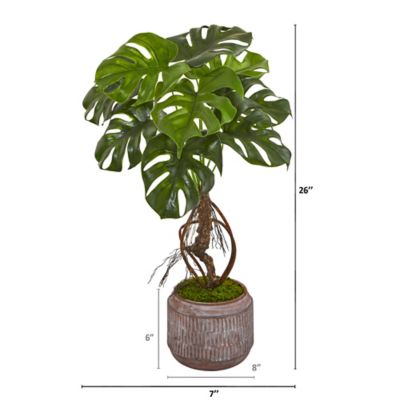 Image showing  26 in. Artificial Monstera Plant in Stoneware Planter