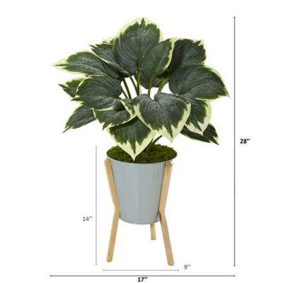Image showing  28 in. Artificial Variegated Hosta Plant in Green Planter with Stand