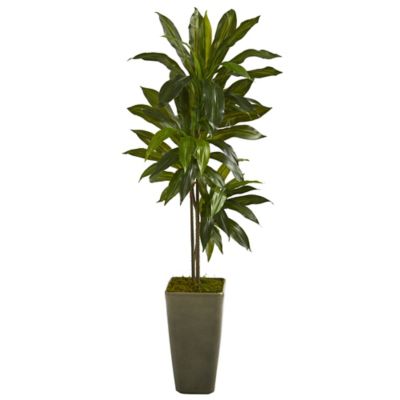 Nearly Natural 4.5 ft. Artificial Dracaena Plant in Green Planter, Real Touch