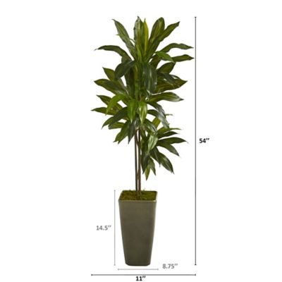 Image showing  4.5 ft. Artificial Dracaena Plant in Green Planter, Real Touch