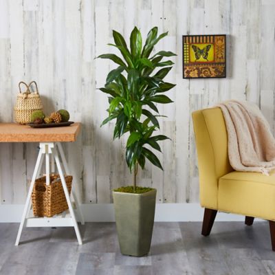 Image showing  4.5 ft. Artificial Dracaena Plant in Green Planter, Real Touch