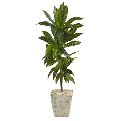 Nearly Natural Artificial 4 ft. Dracaena Plant in Country White Planter, Real Touch