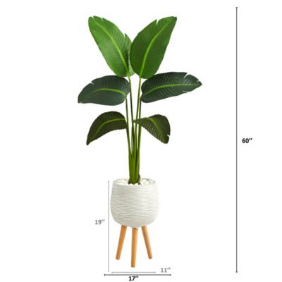 Image showing  Artificial 5 ft. Travelers Palm Plant in White Planter with Stand, Real Touch