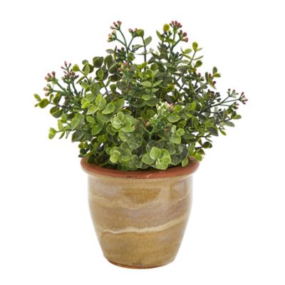 Nearly Natural Artificial 10 in. Eucalyptus and Sedum Succulent Plant in Ceramic Planter