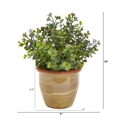 Image showing  Artificial 10 in. Eucalyptus and Sedum Succulent Plant in Ceramic Planter