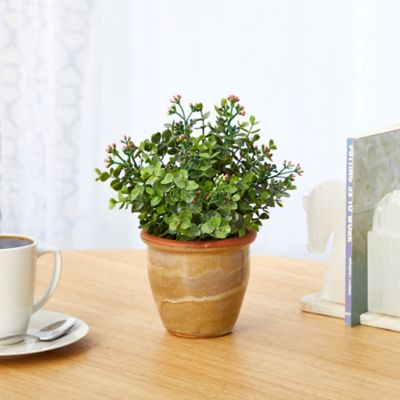 Image showing  Artificial 10 in. Eucalyptus and Sedum Succulent Plant in Ceramic Planter