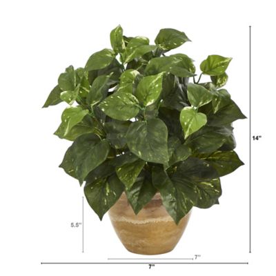 Image showing  Artificial 14 in. Pothos Plant in Ceramic Planter