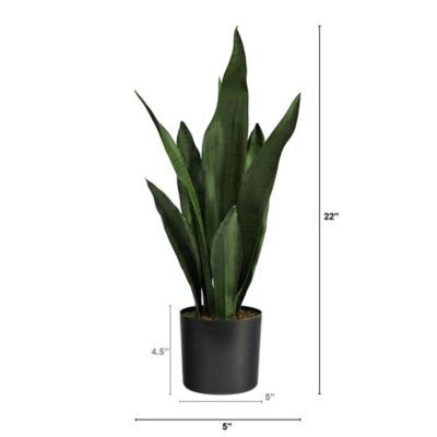 Image showing  22 in. Artificial Sansevieria Plant