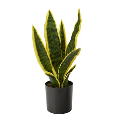 Nearly Natural 14 in. Artificial Sansevieria Plant