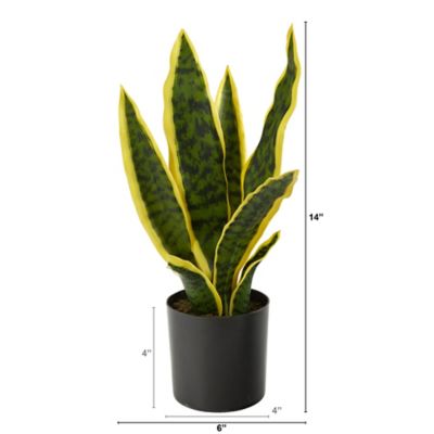 Image showing  14 in. Artificial Sansevieria Plant