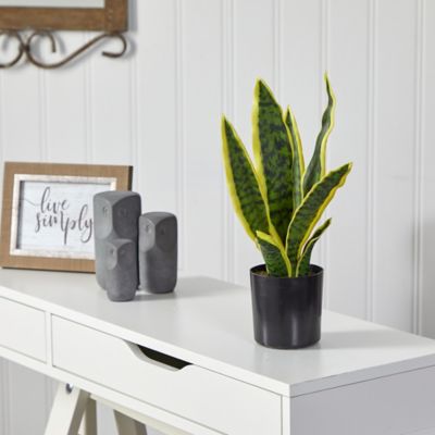 Image showing  14 in. Artificial Sansevieria Plant