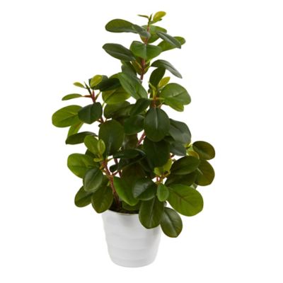 Nearly Natural 16 in. Artificial Peperomia Plant in Decorative Planter