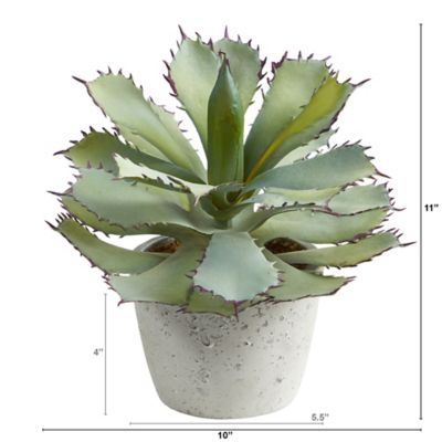 Image showing  11 in. Artificial Succulent Plant