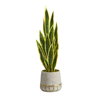 Nearly Natural 34 in. Artificial Sansevieria Plant in Stoneware Planter with Gold Trimming