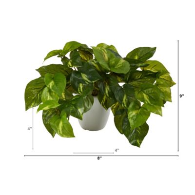 Image showing  9 in. Artificial Pothos Plant in White Planter, Real Touch