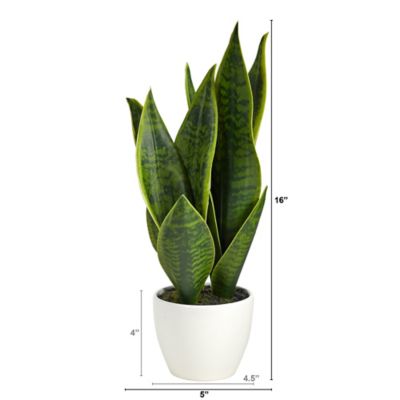 Image showing  16 in. Artificial Sansevieria Plant