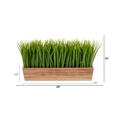 Image showing  20 in. Artificial Vanilla Grass Plant in Decorative Planter